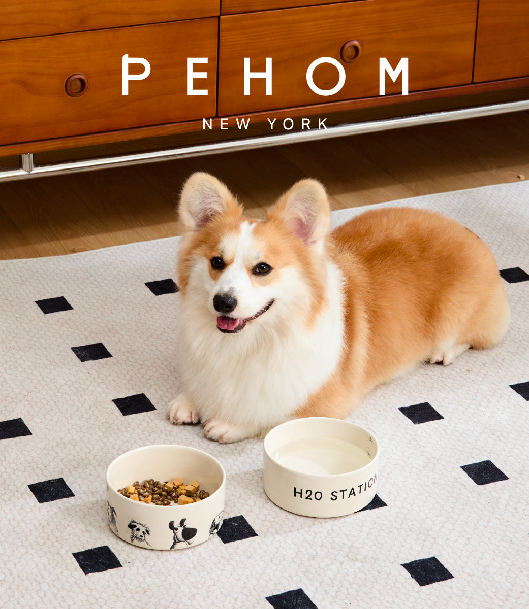 Ceramic Pet Bowl with Non-Slip Silicone Base