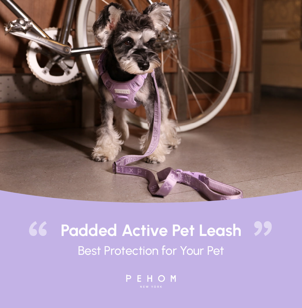 PADDED  ACTIVE  PET LEASH  - MINT PURPLE