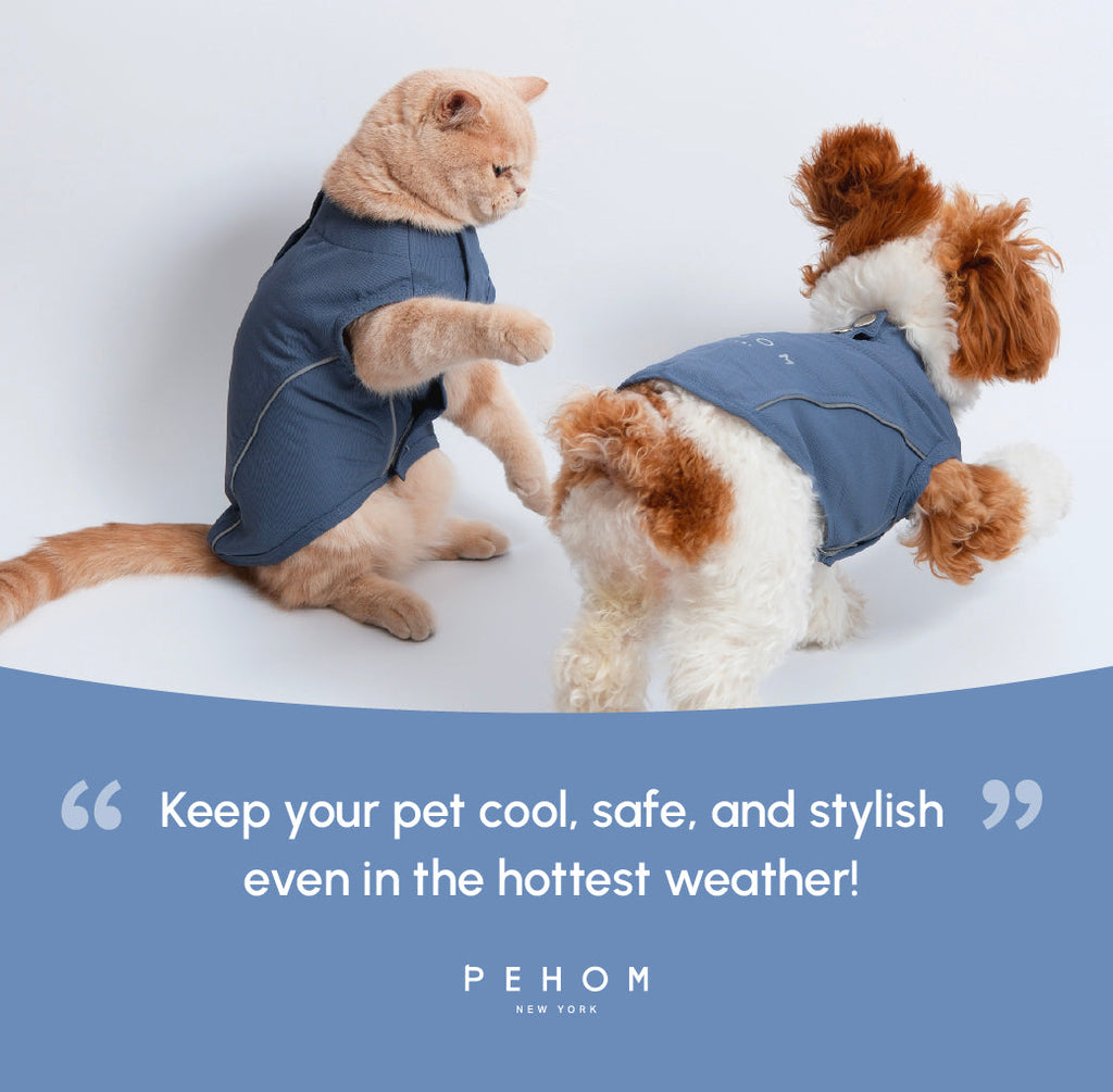 Lightweight Reflective Pet Raincoat with Adjustable Straps