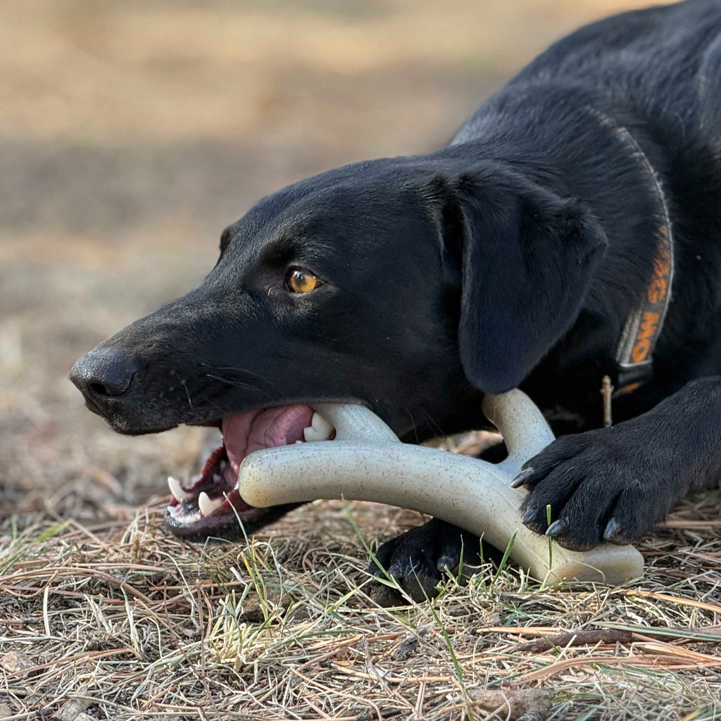 Ever Antler Nylon Chew Bone for Aggressive Chewers, Large Size