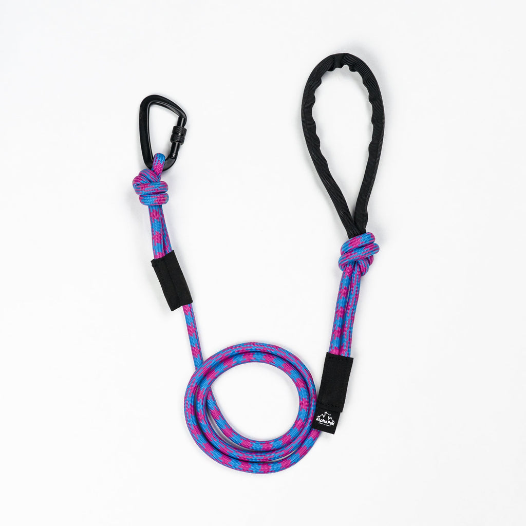 Kernmantle Climbing Rope Dog Leash with Soft Handle – Lime & Emerald