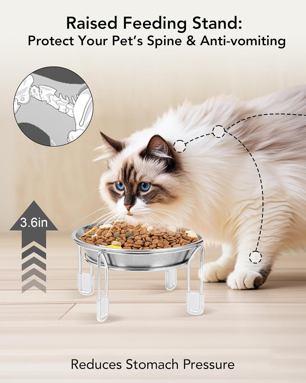 Elevated Stainless Steel Bowls for Cats & Small Dogs