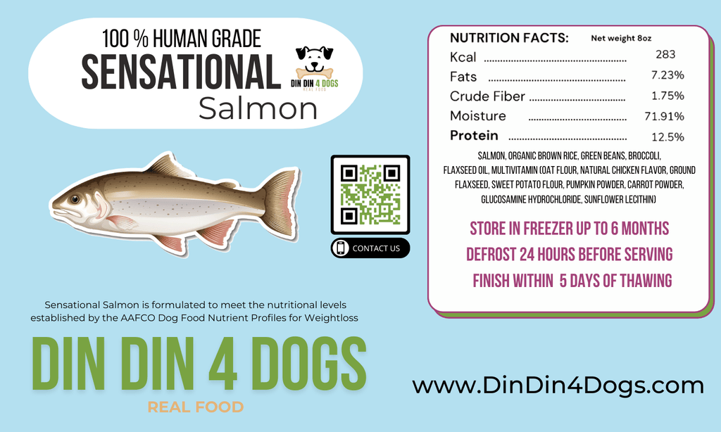 Chicken and Salmon Combo Dog Food, 8oz Portion
