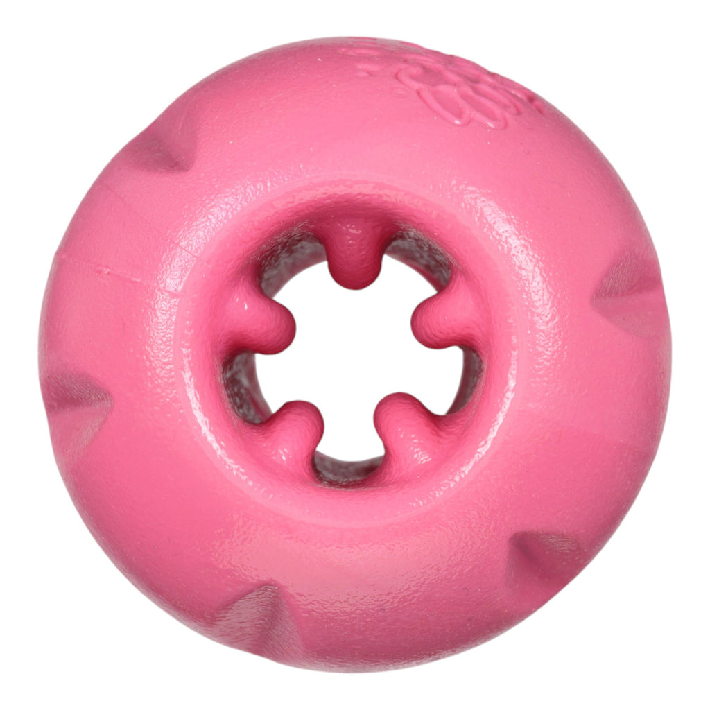 Qwizl Durable Treat Toy for Strong Chewers