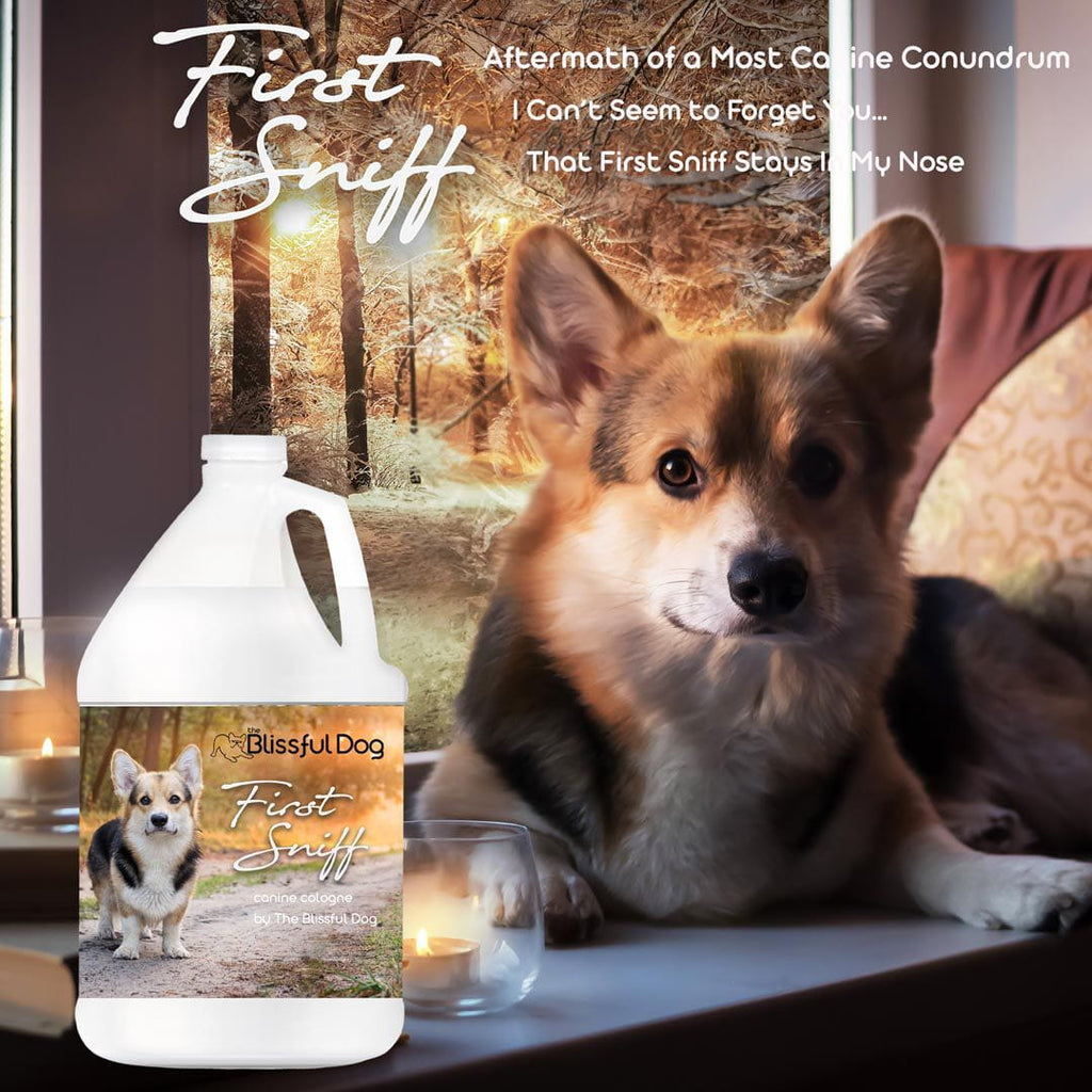 First Sniff Dog Cologne with Mimosa and Musk Scent