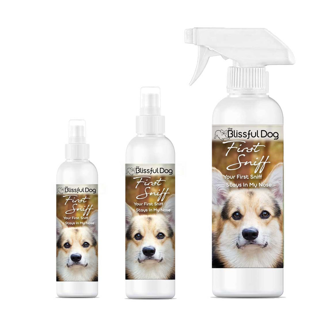 First Sniff Dog Cologne with Mimosa and Musk Scent