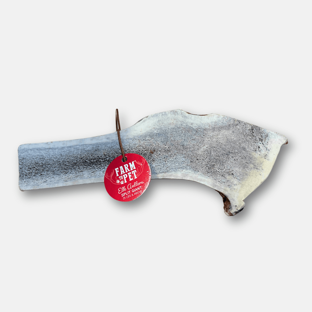 Elk Antler Dog Chew – Split or Whole, Wild-Gathered in Wyoming