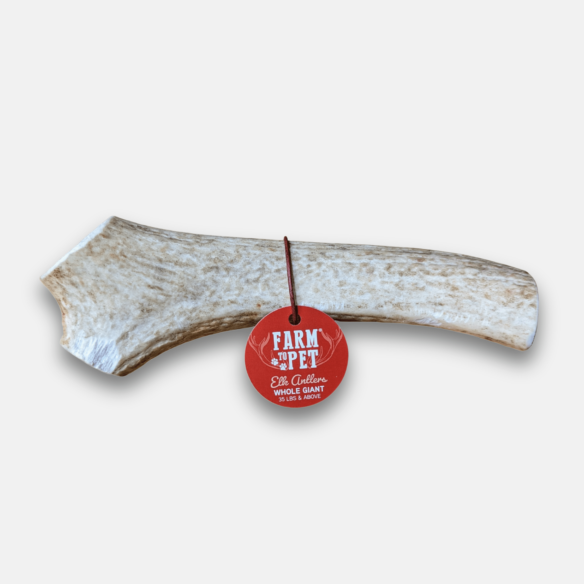 Elk Antler Dog Chew – Split or Whole, Wild-Gathered in Wyoming