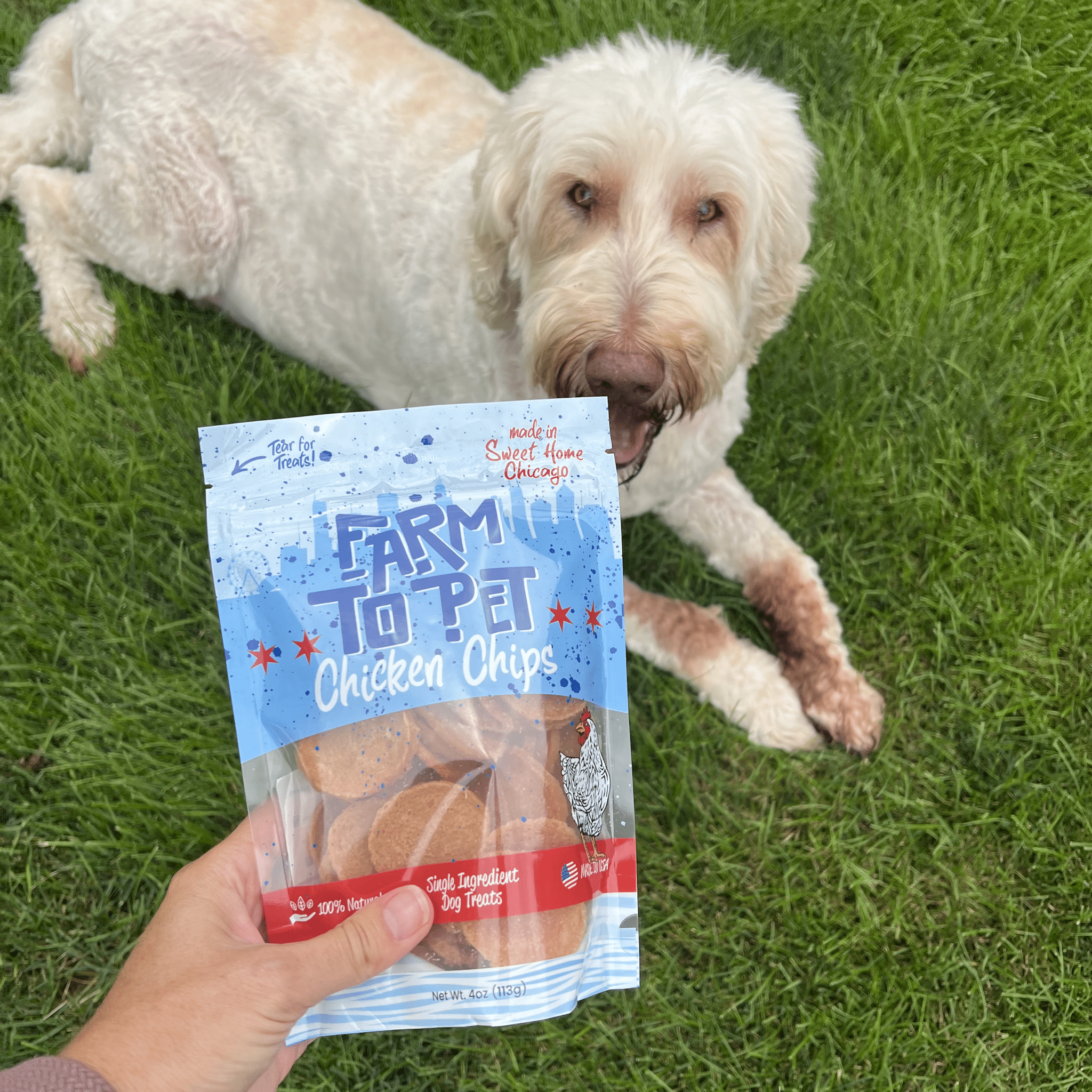 Chicken Chips Single-Ingredient Pet Treats for Dogs & Cats