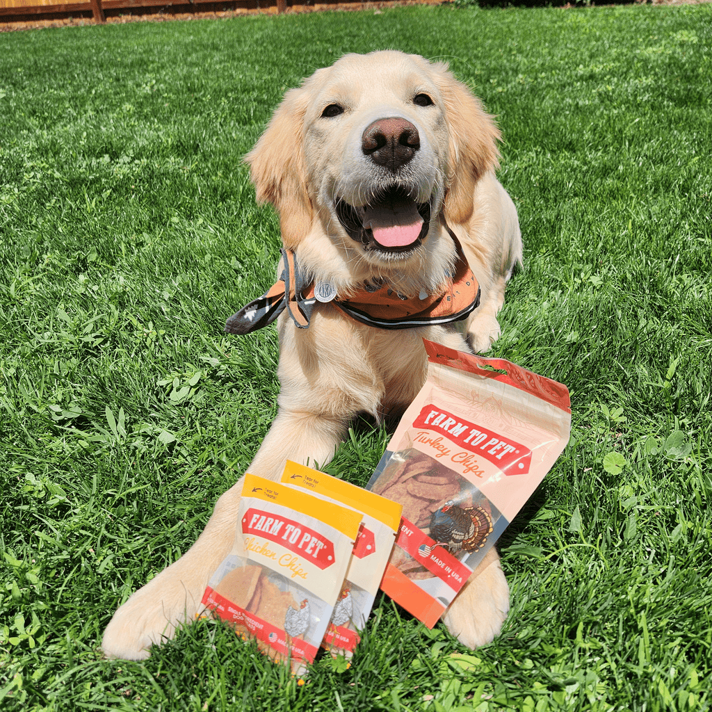 Puppy Pack Single-Ingredient Treats – Chicken, Beef, Fish & Turkey