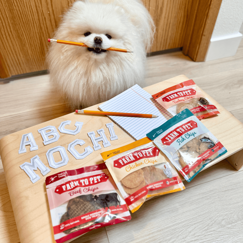 Snack Pack Sampler – Single-Ingredient Protein Chips for Pets