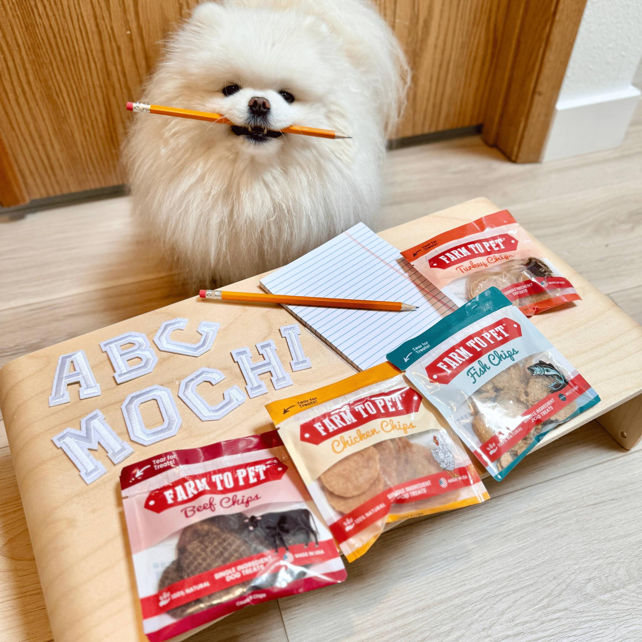 Snack Pack Sampler – Single-Ingredient Protein Chips for Pets