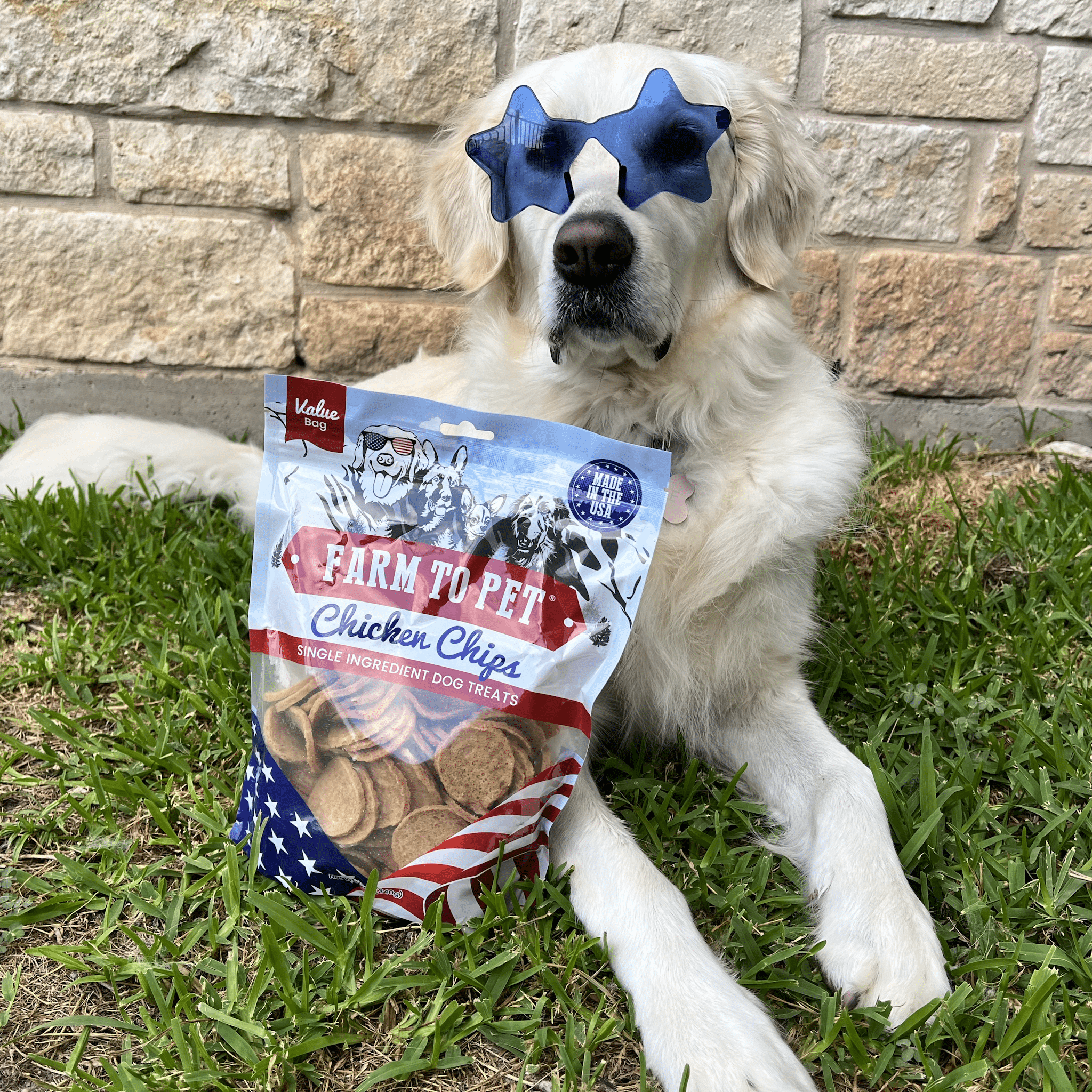 Americana Chicken Chips Dog Treats – Single Ingredient, USA Made