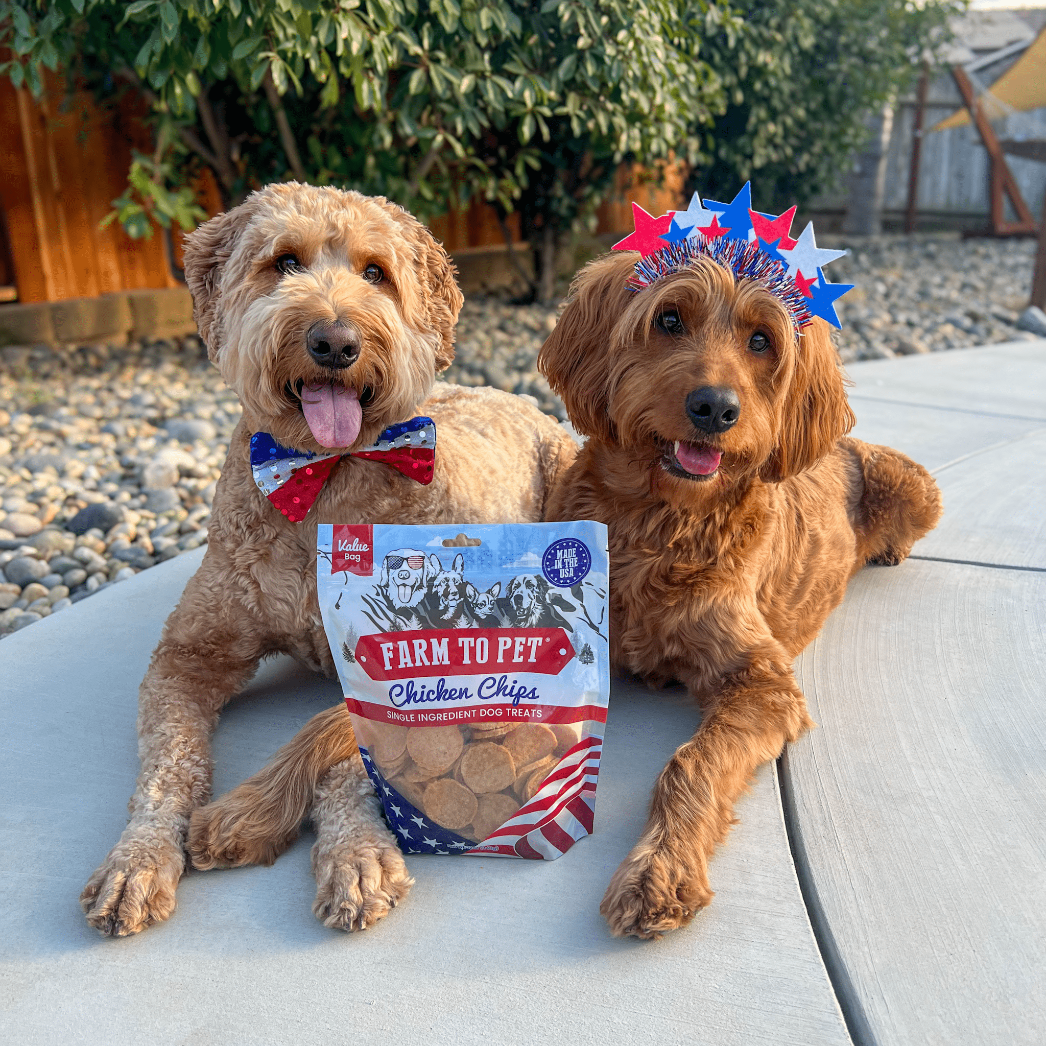 Americana Chicken Chips Dog Treats – Single Ingredient, USA Made