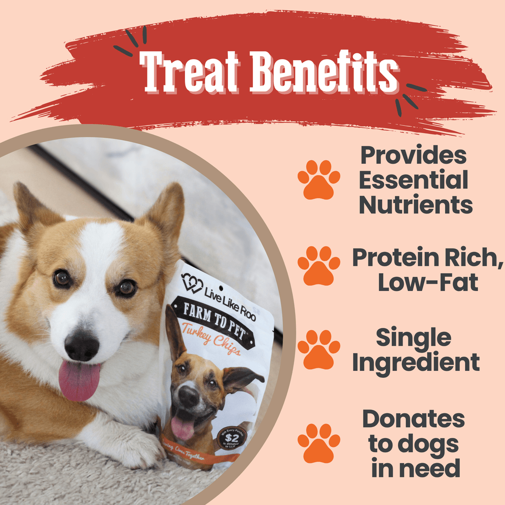 Live Like Roo Turkey Chips Dog Treats – Single Ingredient