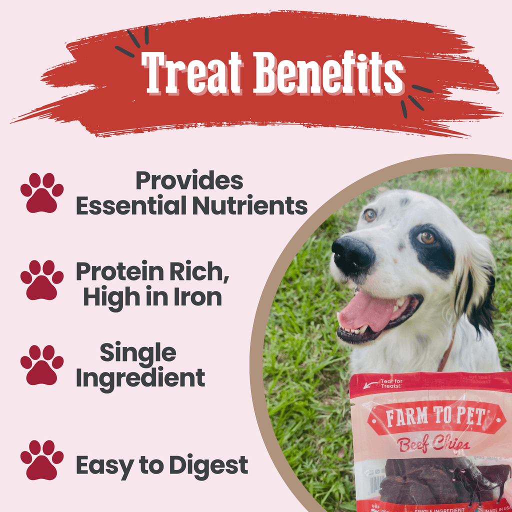 Beef Chip Snack Pack Bundle for Dogs & Cats, 6-Pack