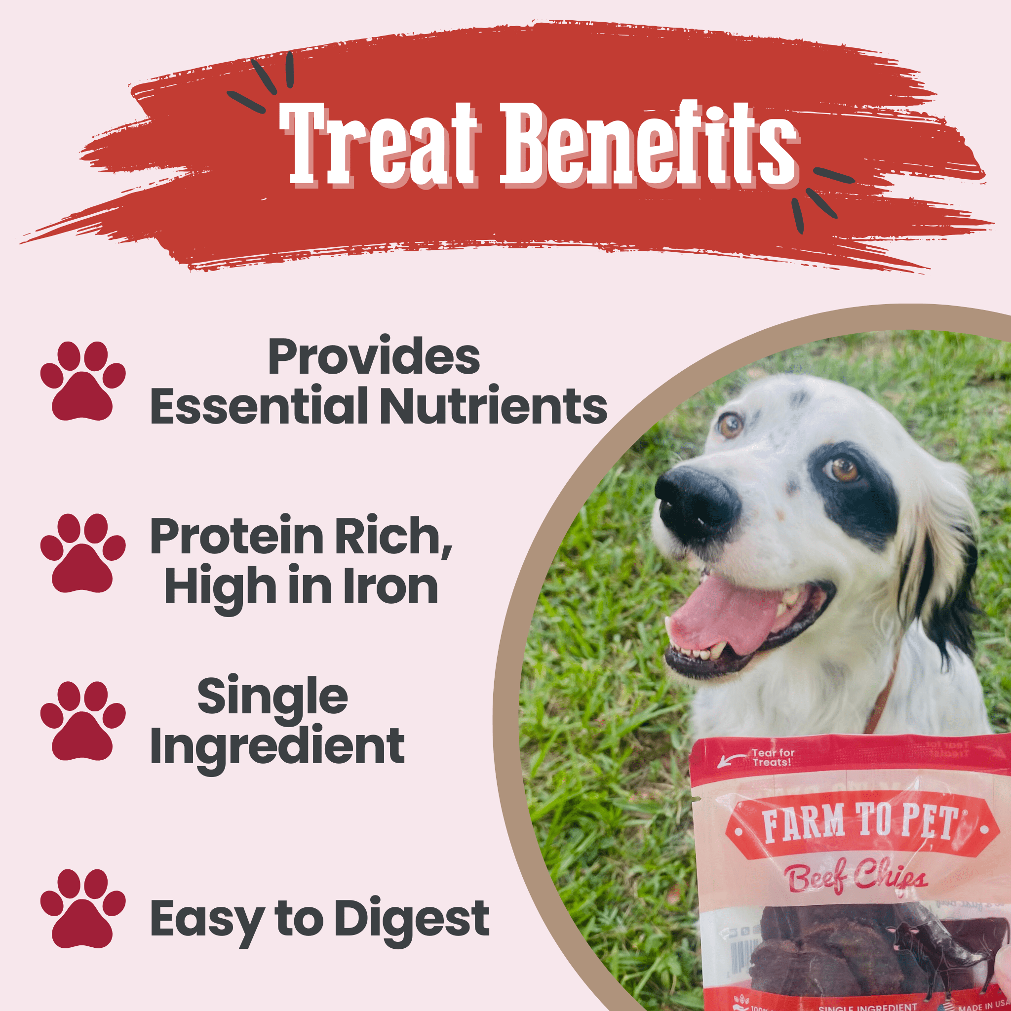 Beef Chip Snack Pack Bundle for Dogs & Cats, 6-Pack
