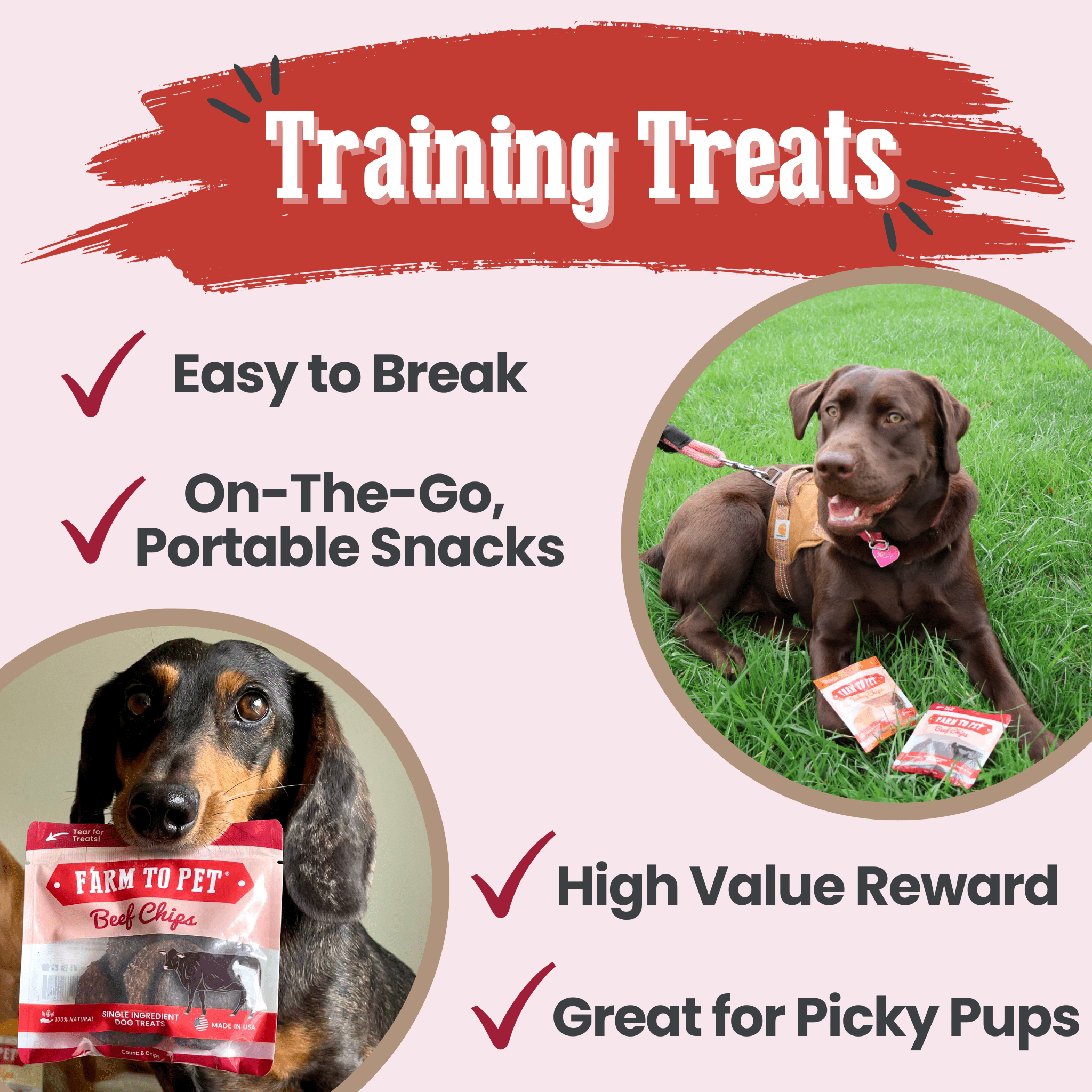Beef Chip Snack Pack Bundle for Dogs & Cats, 6-Pack