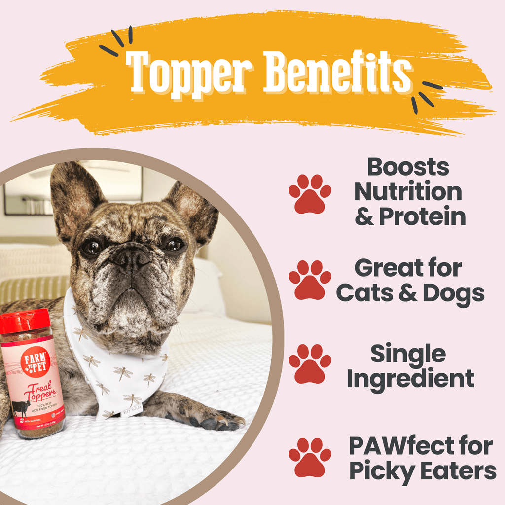 Beef Treat Topper Powder for Dogs and Cats, Single Ingredient