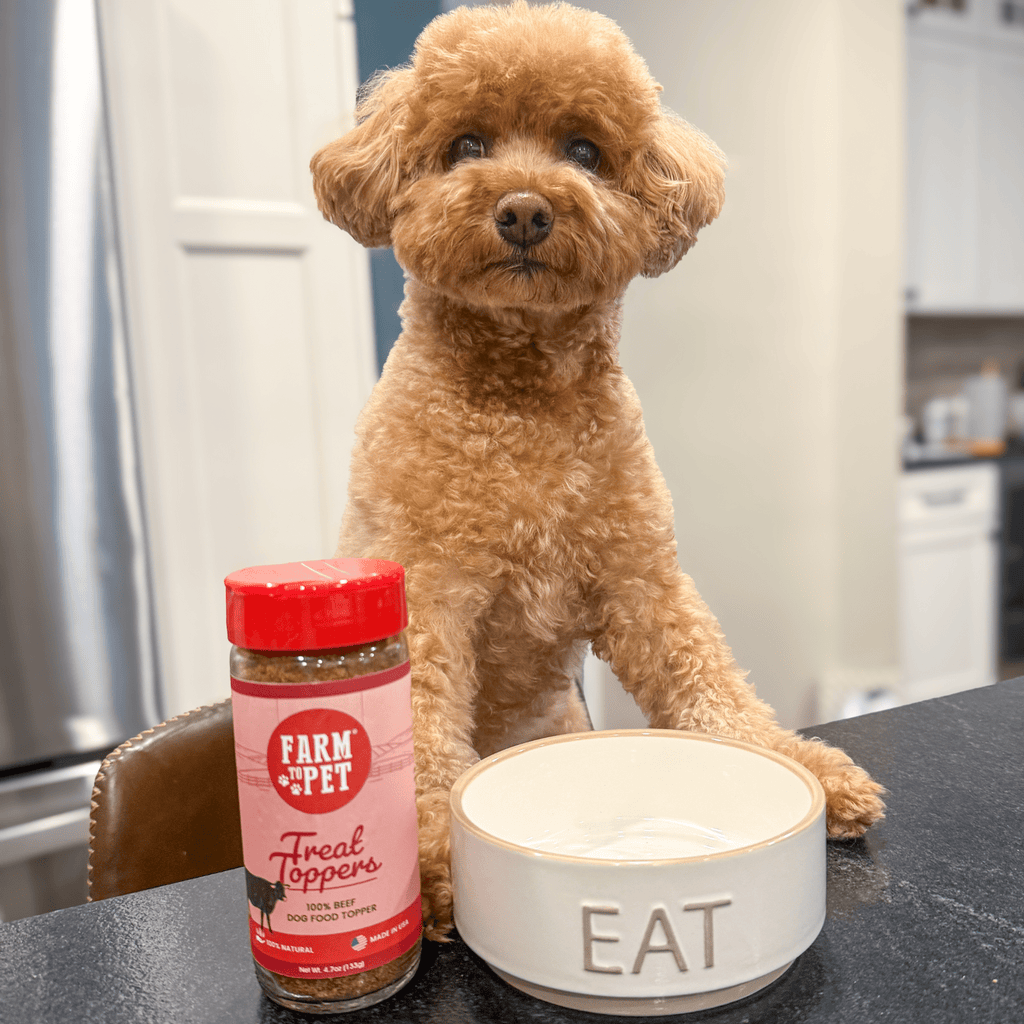 Beef Treat Topper Powder for Dogs and Cats, Single Ingredient