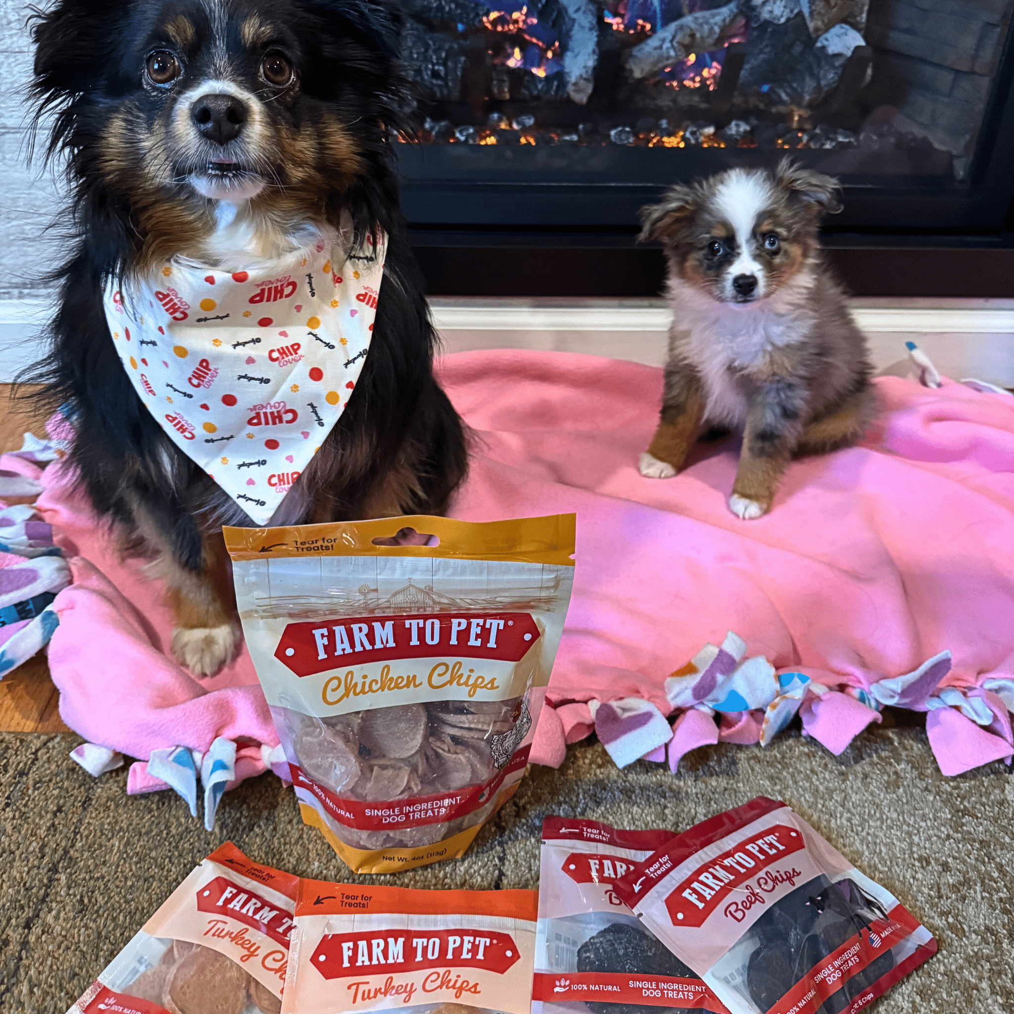 Puppy Pack Single-Ingredient Treats – Chicken, Beef, Fish & Turkey