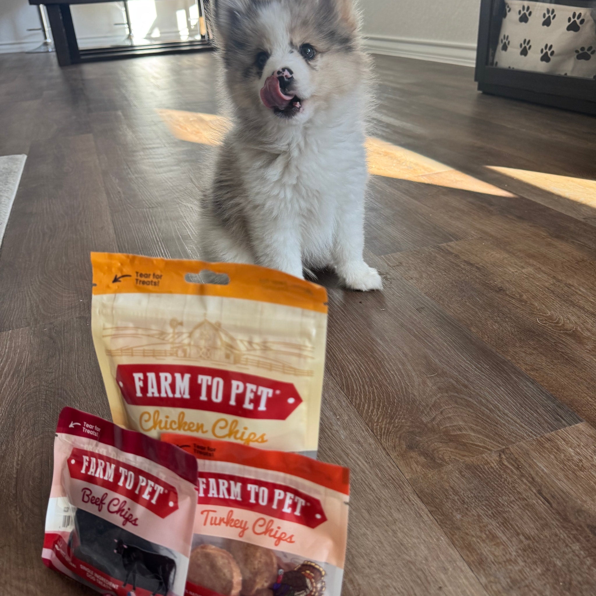 Puppy Pack Single-Ingredient Treats – Chicken, Beef, Fish & Turkey