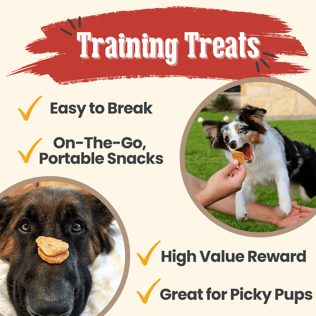 Chicken Chips Dog Treats – Single Ingredient, USA Made