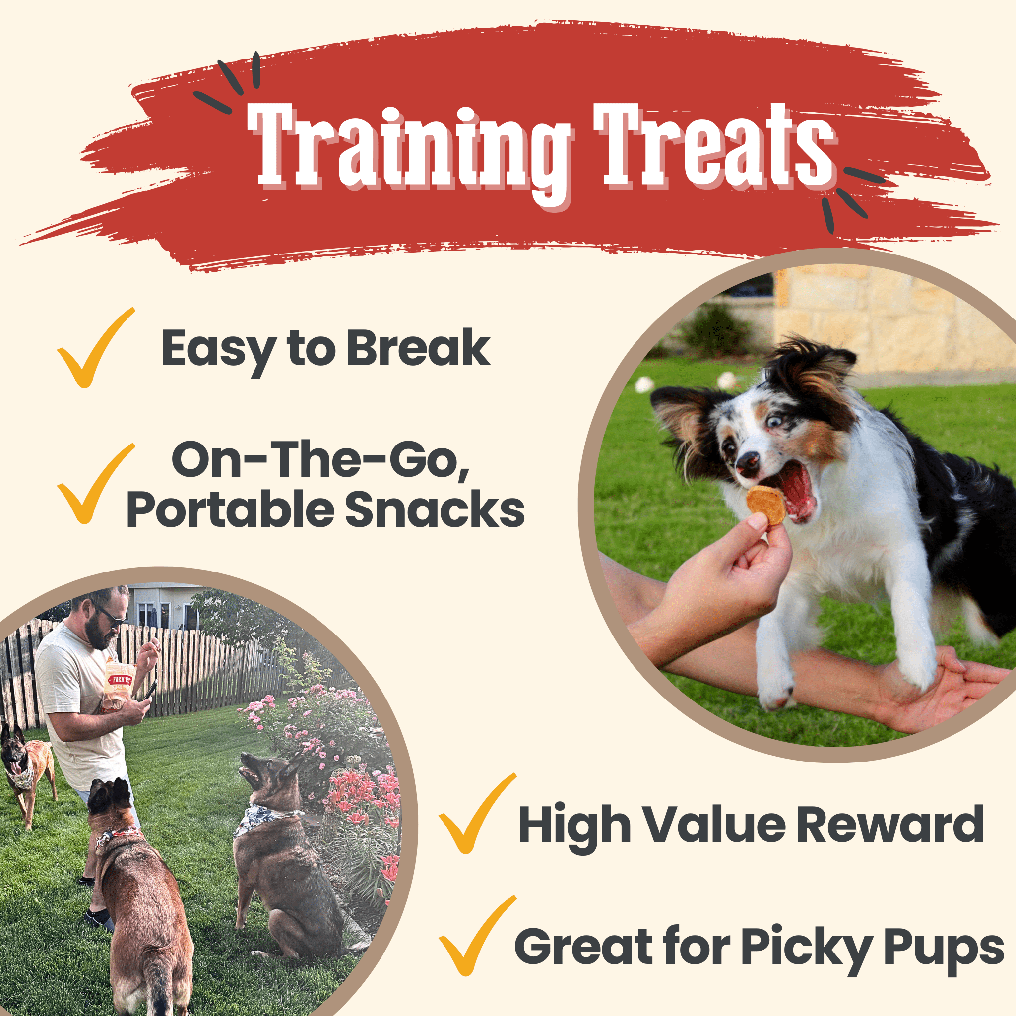 Chicken Chips Dog Treats – Single Ingredient, USA Made