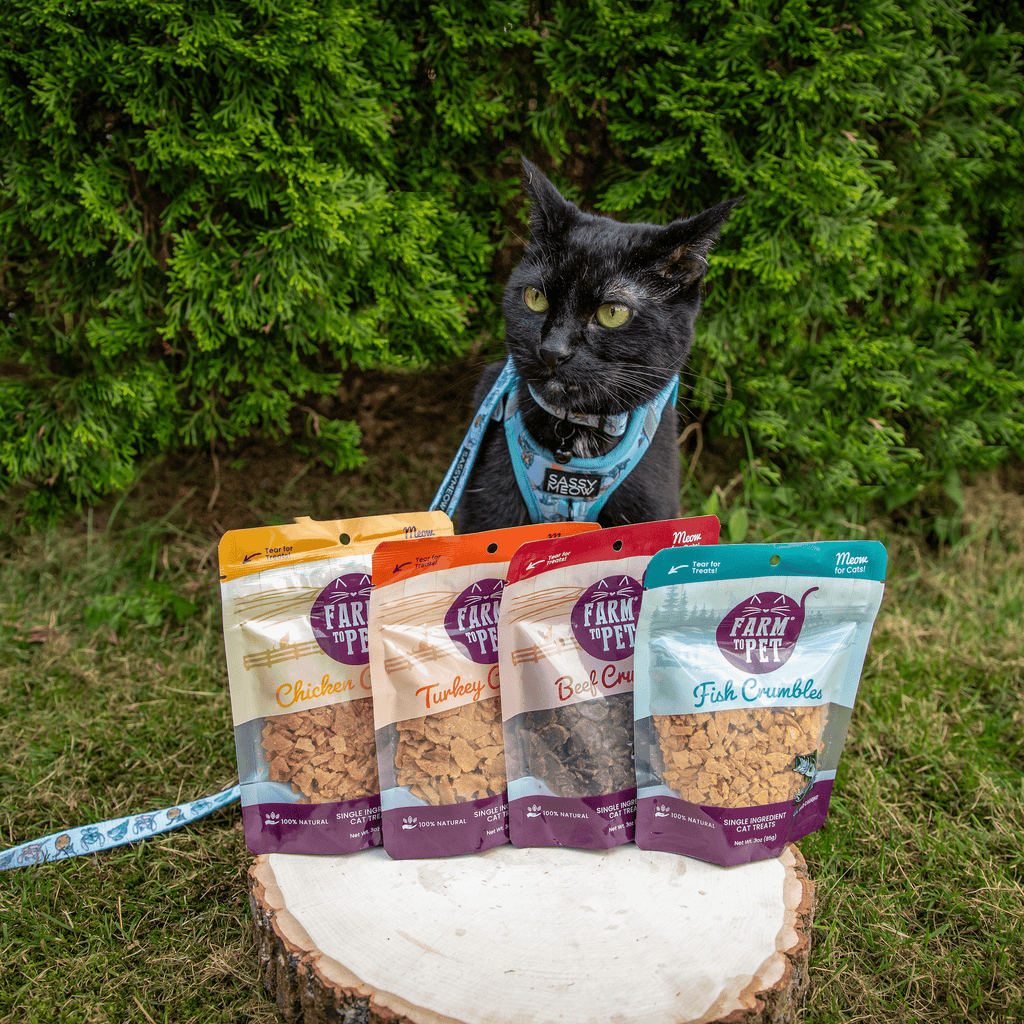 Fish Crumbles Cat Treats – 100% Walleye Fillet, Grain-Free
