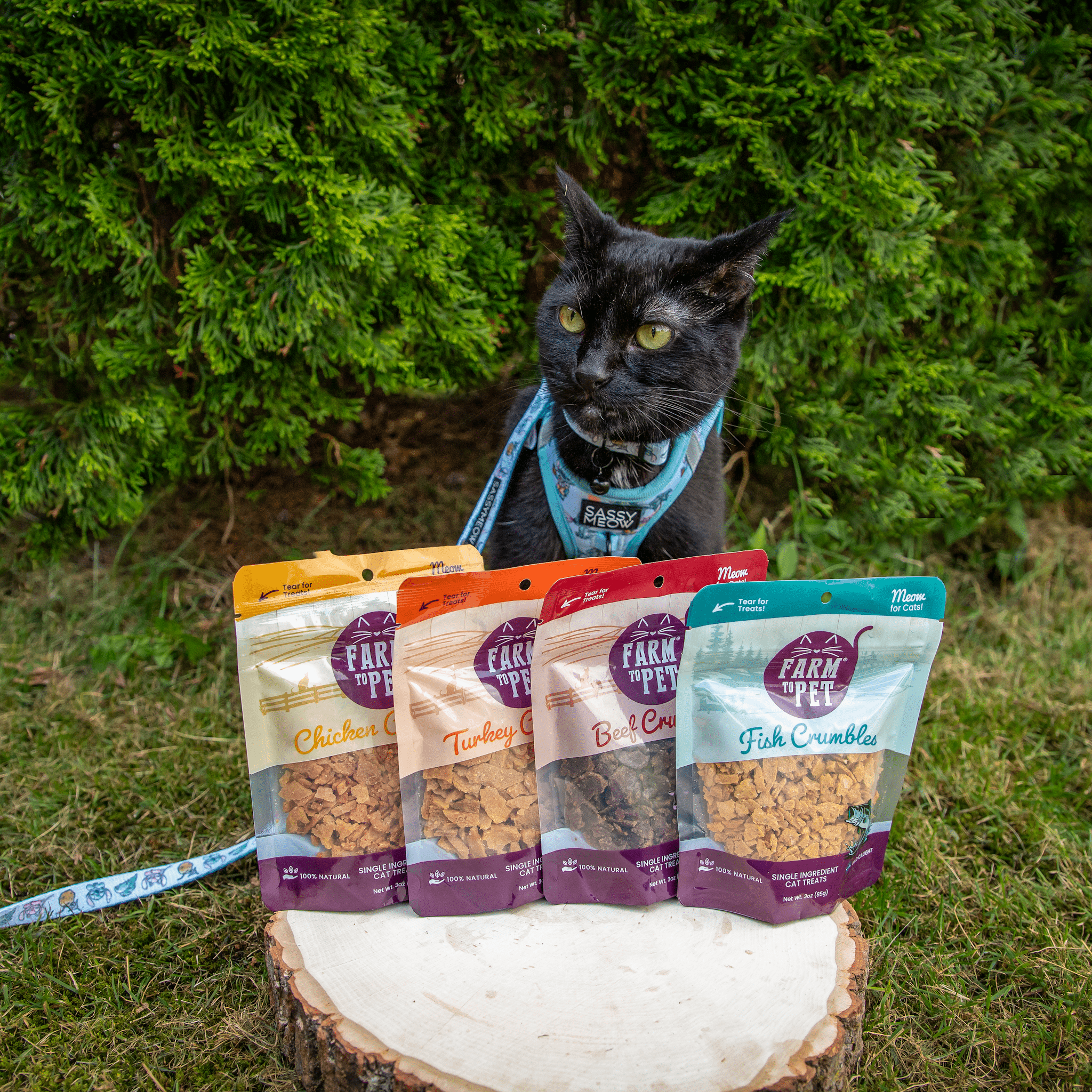 Fish Crumbles Cat Treats – 100% Walleye Fillet, Grain-Free