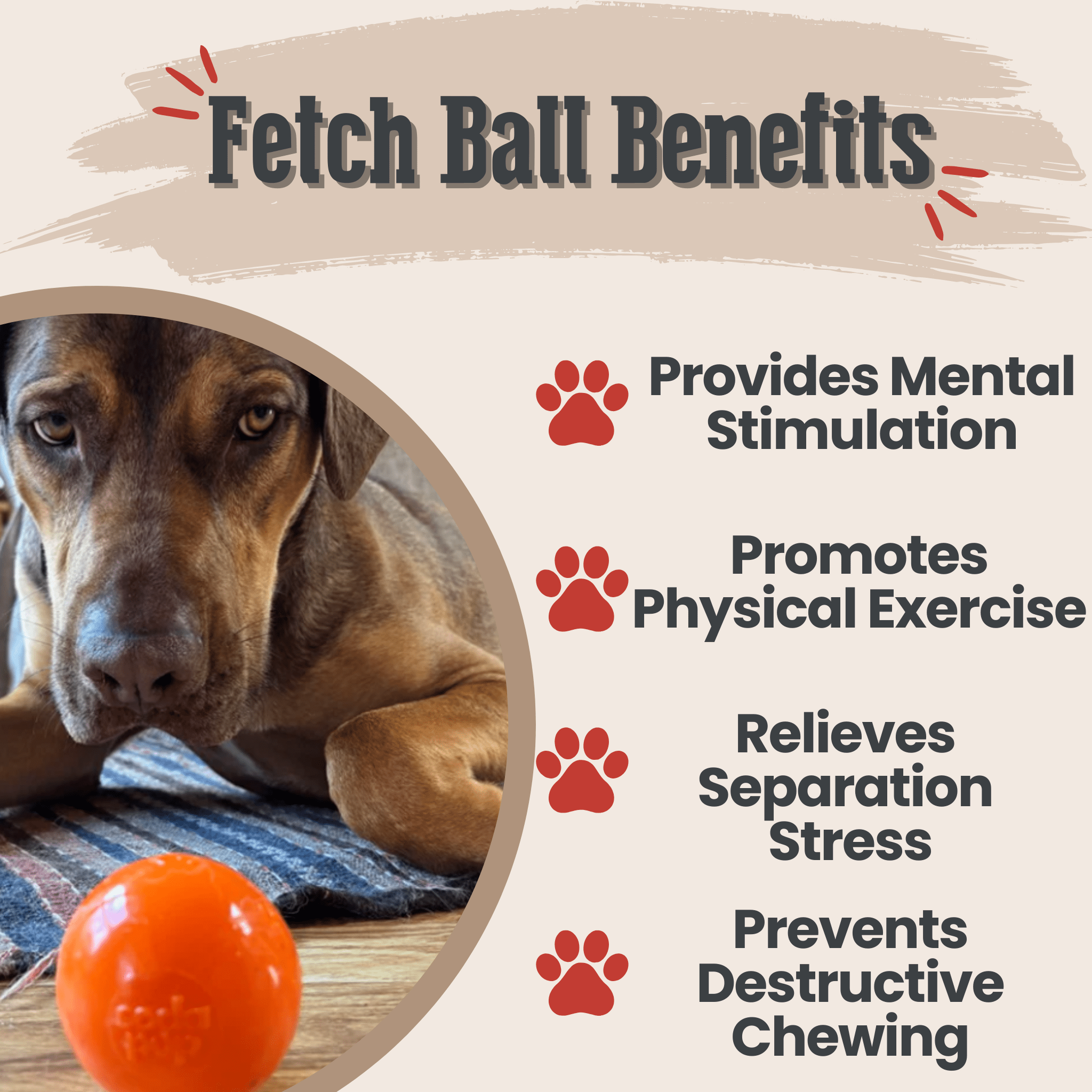 Durable Dog Balls – Floating, Glow, Squeaky, or Light-Up Options