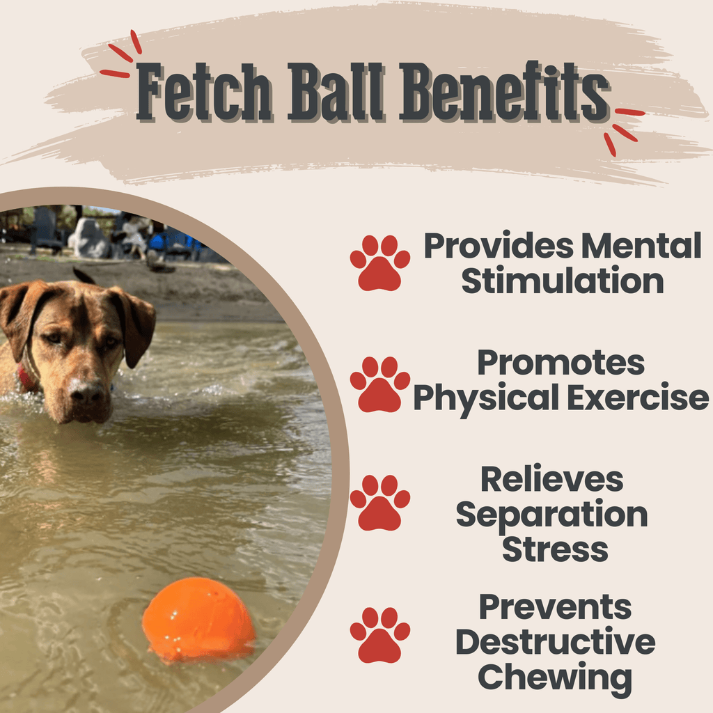 Durable Dog Balls – Floating, Glow, Squeaky, or Light-Up Options