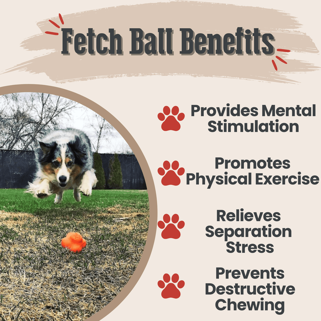 Durable Dog Balls – Floating, Glow, Squeaky, or Light-Up Options