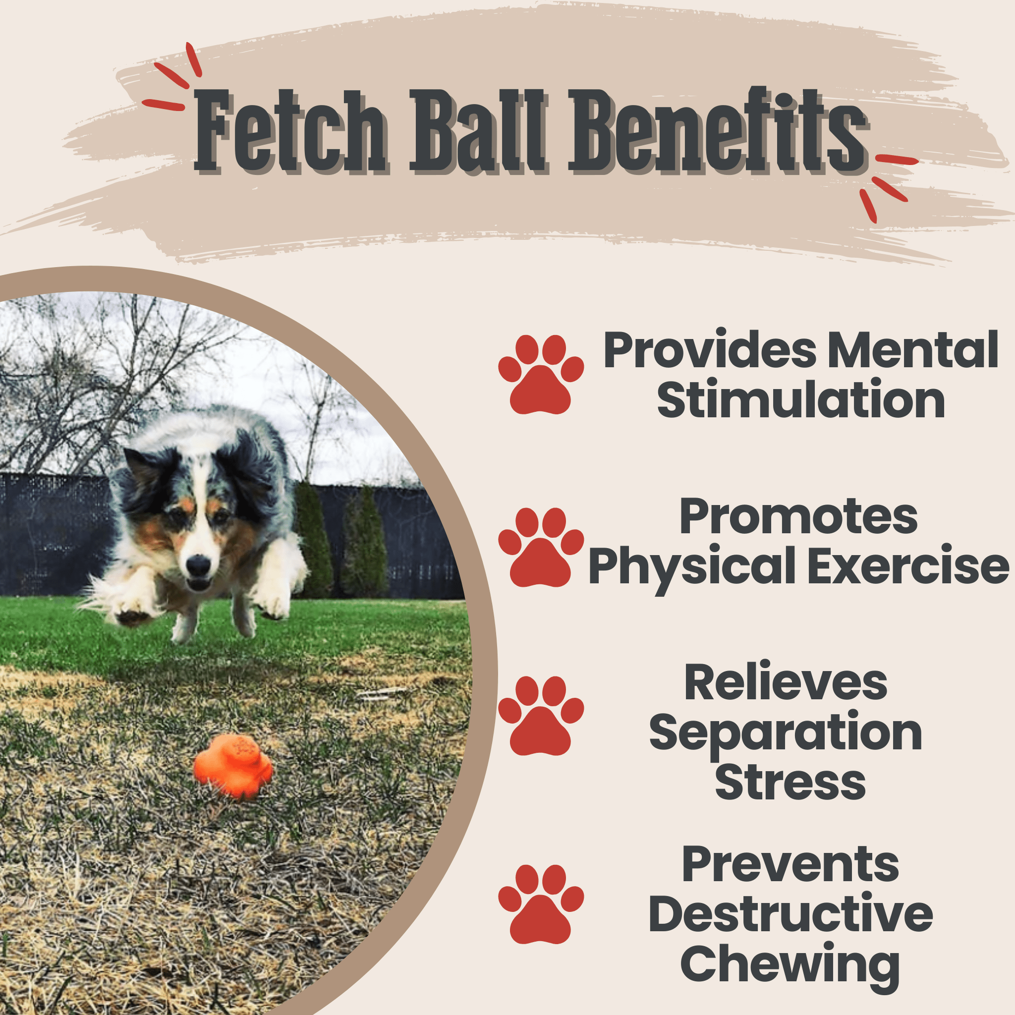 Durable Dog Balls – Floating, Glow, Squeaky, or Light-Up Options