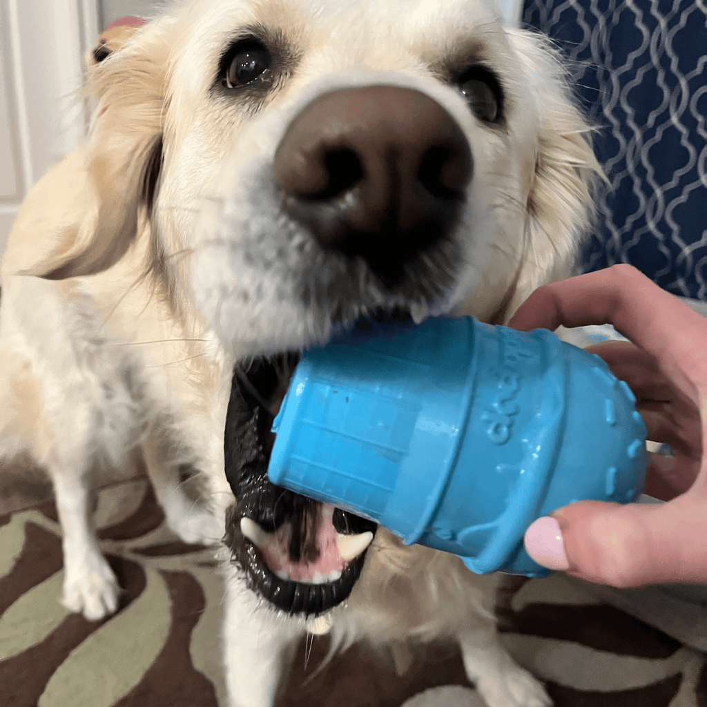 SodaPup Dog Treat Dispenser for Medium to Large Dogs