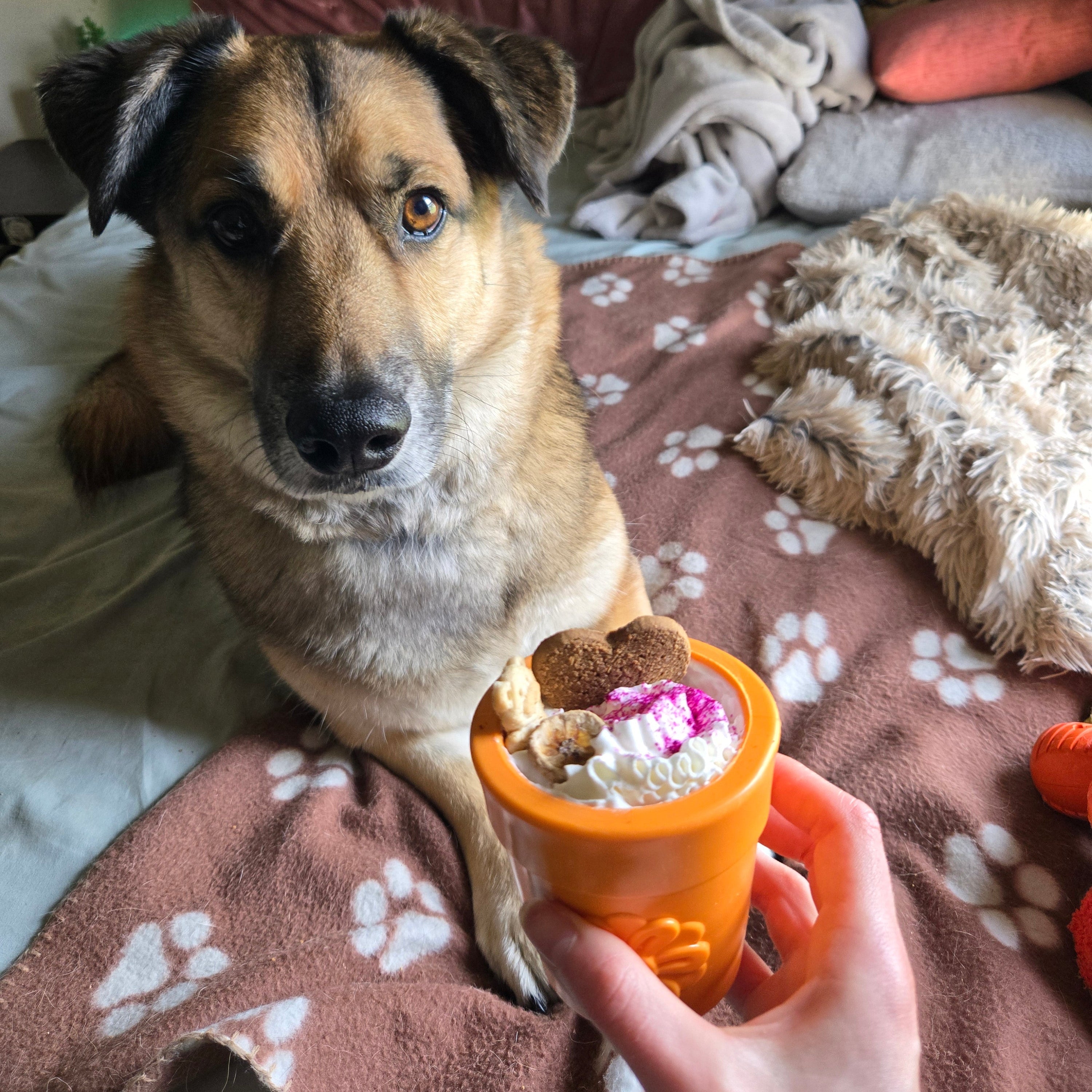 SodaPup Dog Treat Dispenser for Medium to Large Dogs