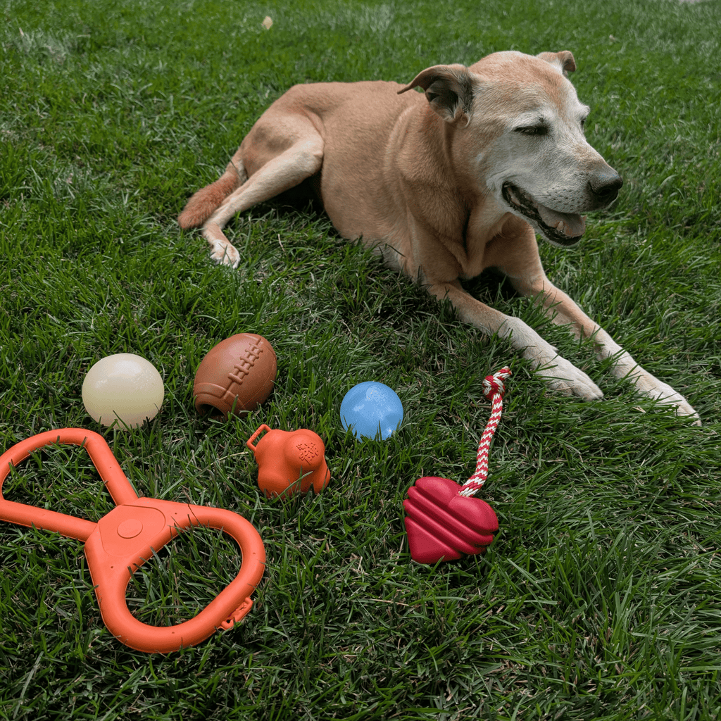Durable USA-Made Dog Tug Toy for Interactive Play