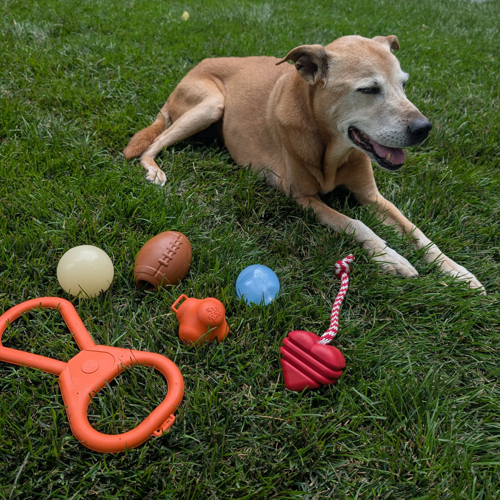 Durable USA-Made Dog Tug Toy for Interactive Play