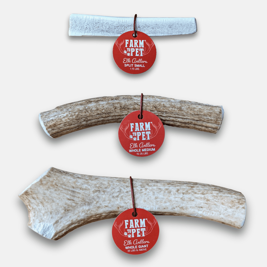 Elk Antler Dog Chew – Split or Whole, Wild-Gathered in Wyoming