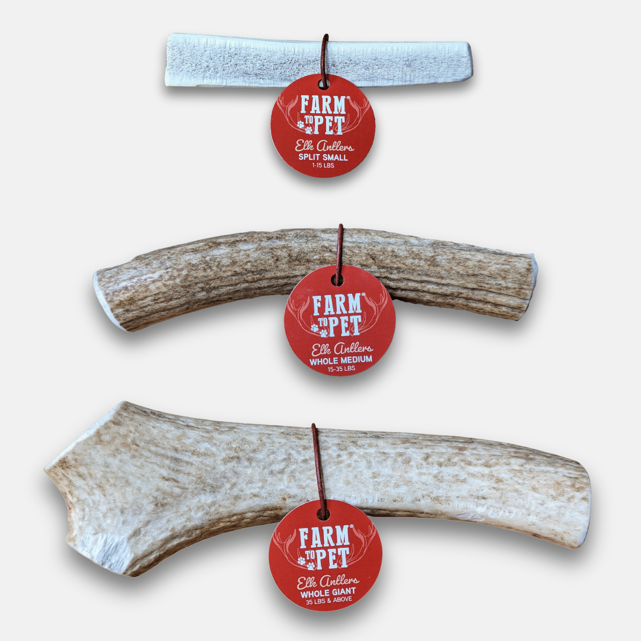 Elk Antler Dog Chew – Split or Whole, Wild-Gathered in Wyoming