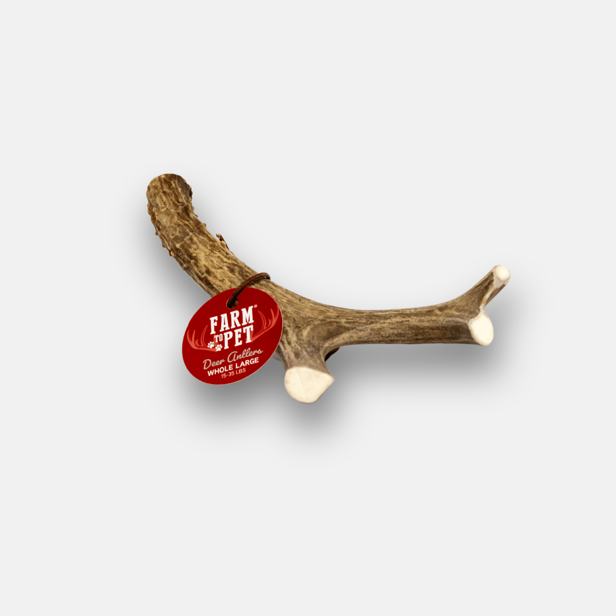Whole Deer Antler Chew for Large Dogs (35 lbs and Up)