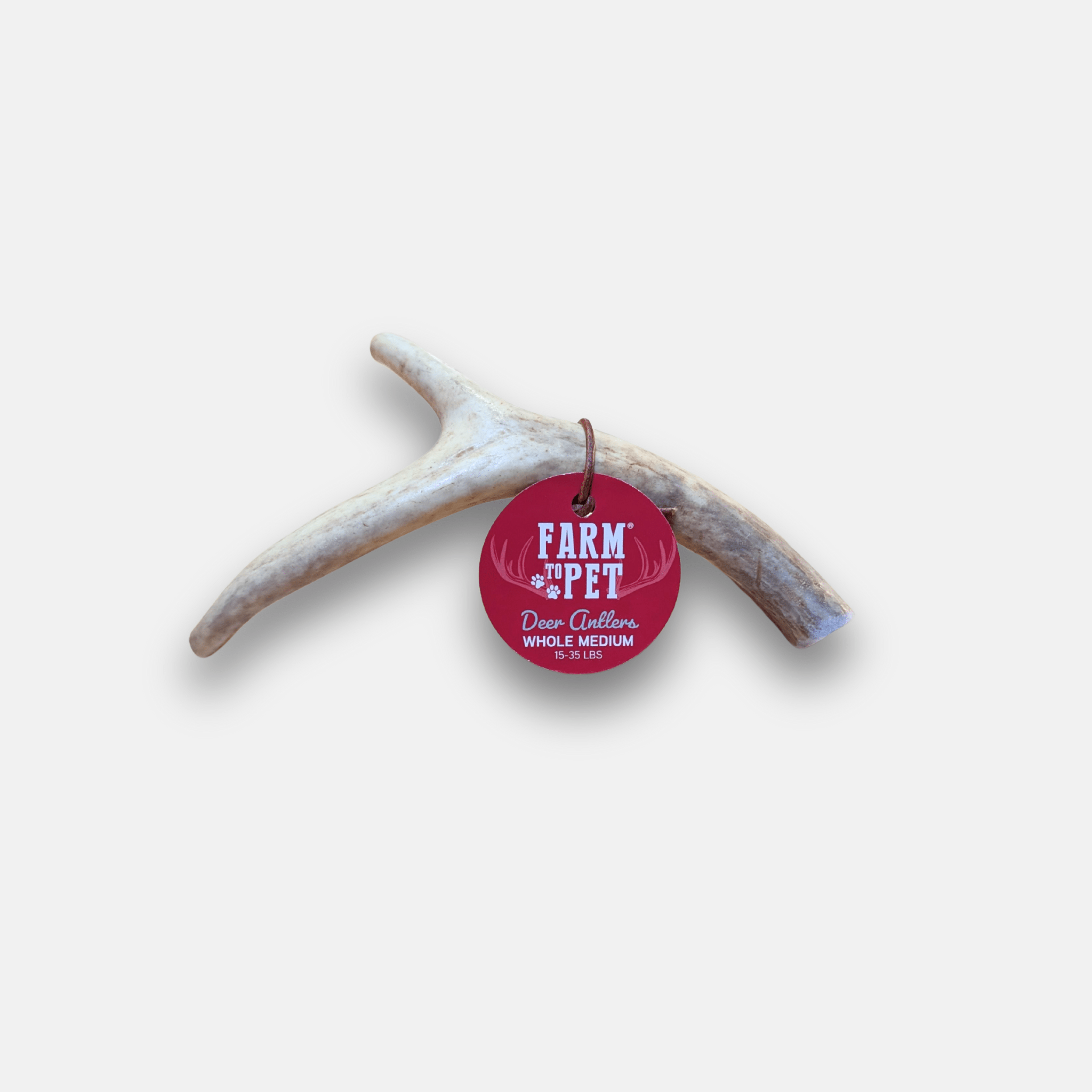 Whole Deer Antler Chew for Large Dogs (35 lbs and Up)