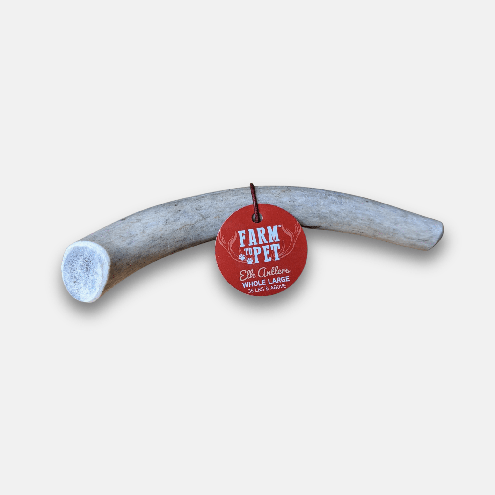 Elk Antler Dog Chew – Split or Whole, Wild-Gathered in Wyoming