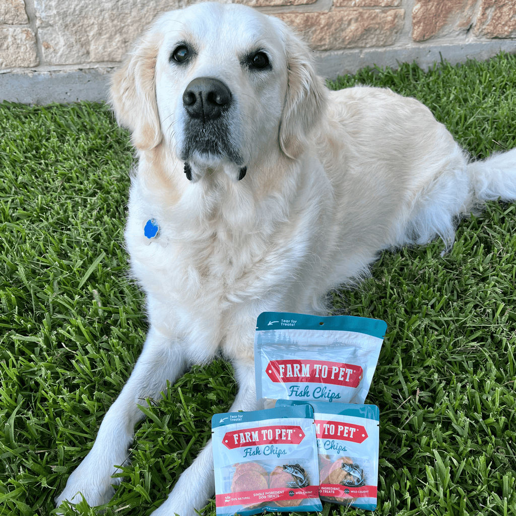 Walleye Fish Chip Snack Pack for Dogs & Cats, 6 Pieces