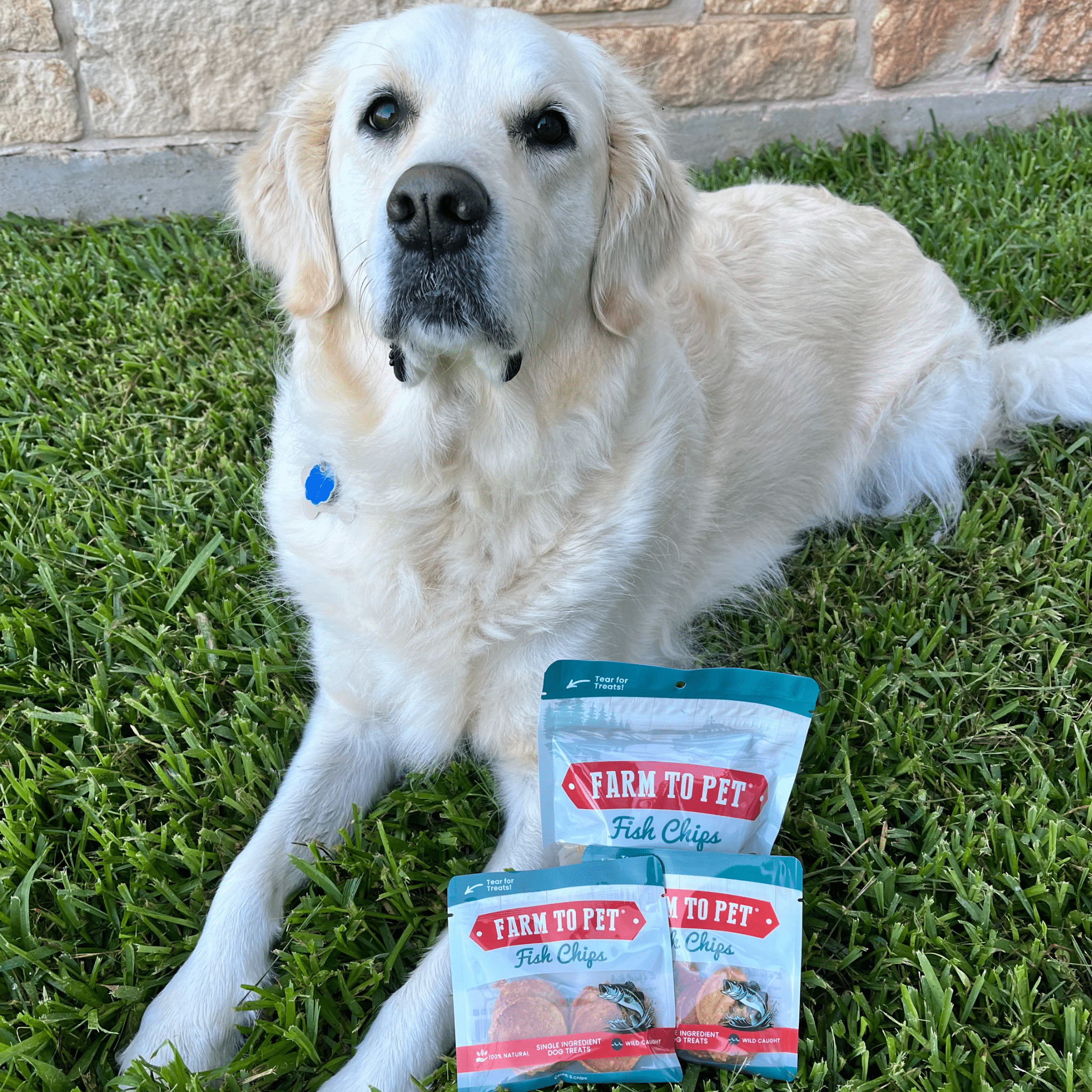 Walleye Fish Chip Snack Pack for Dogs & Cats, 6 Pieces