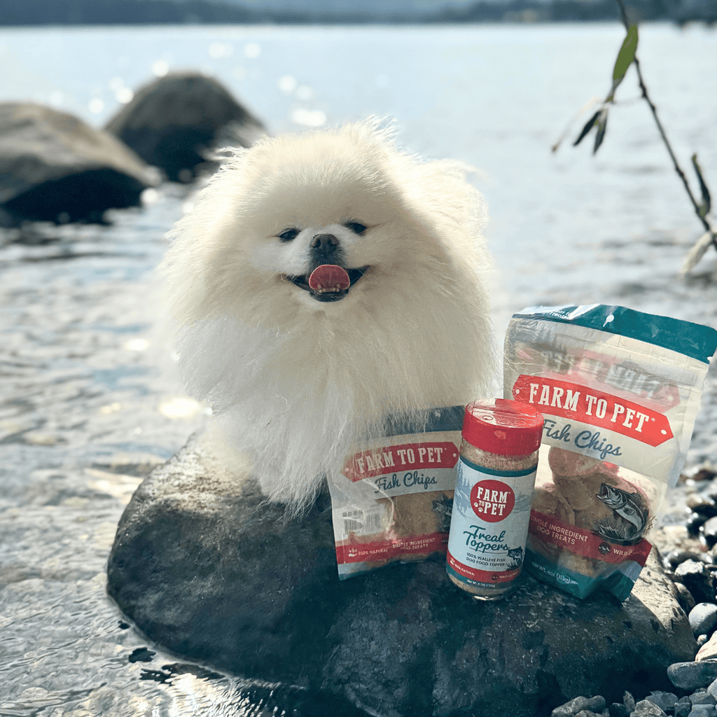 Walleye Fillet Powder Topper for Dogs and Cats