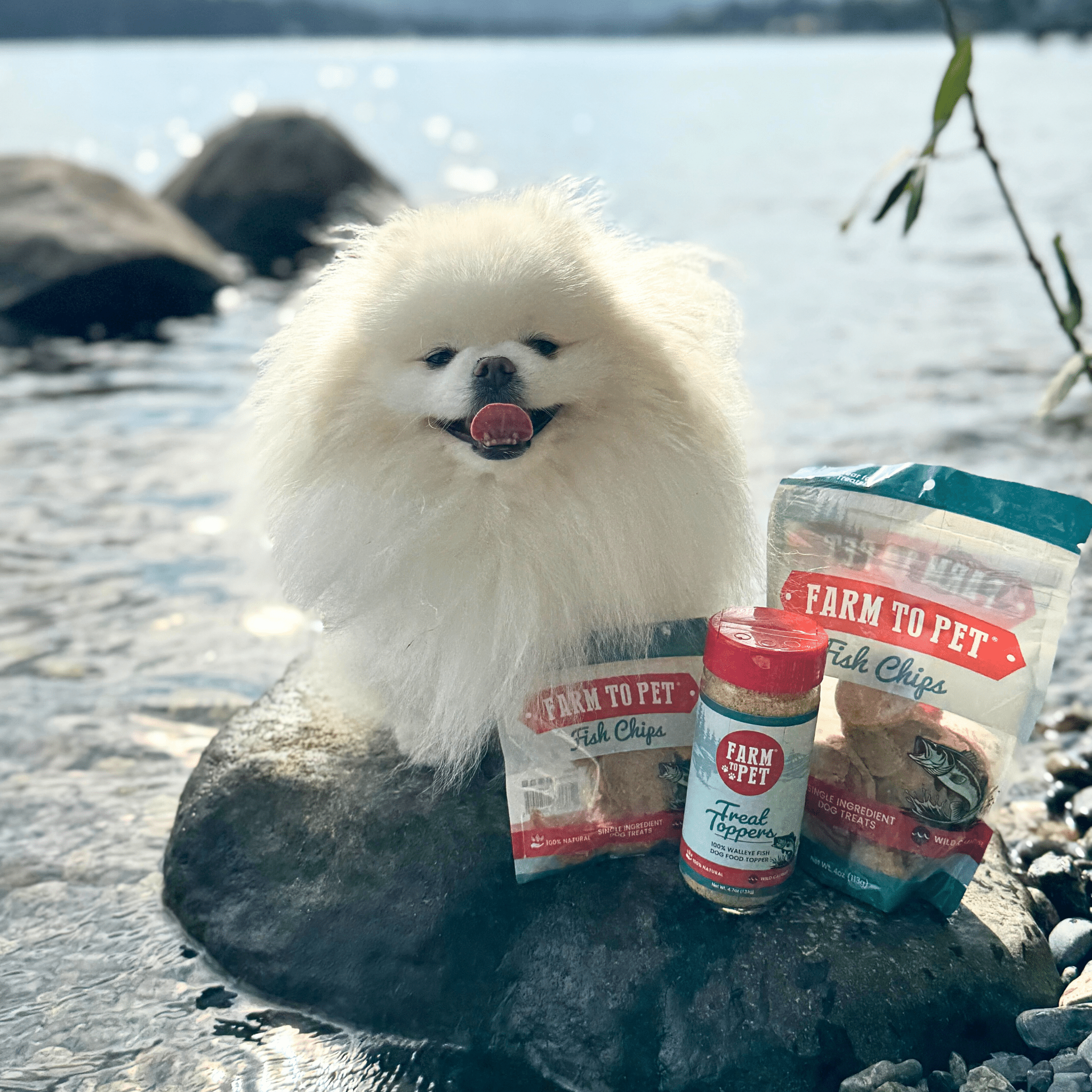Walleye Fillet Powder Topper for Dogs and Cats