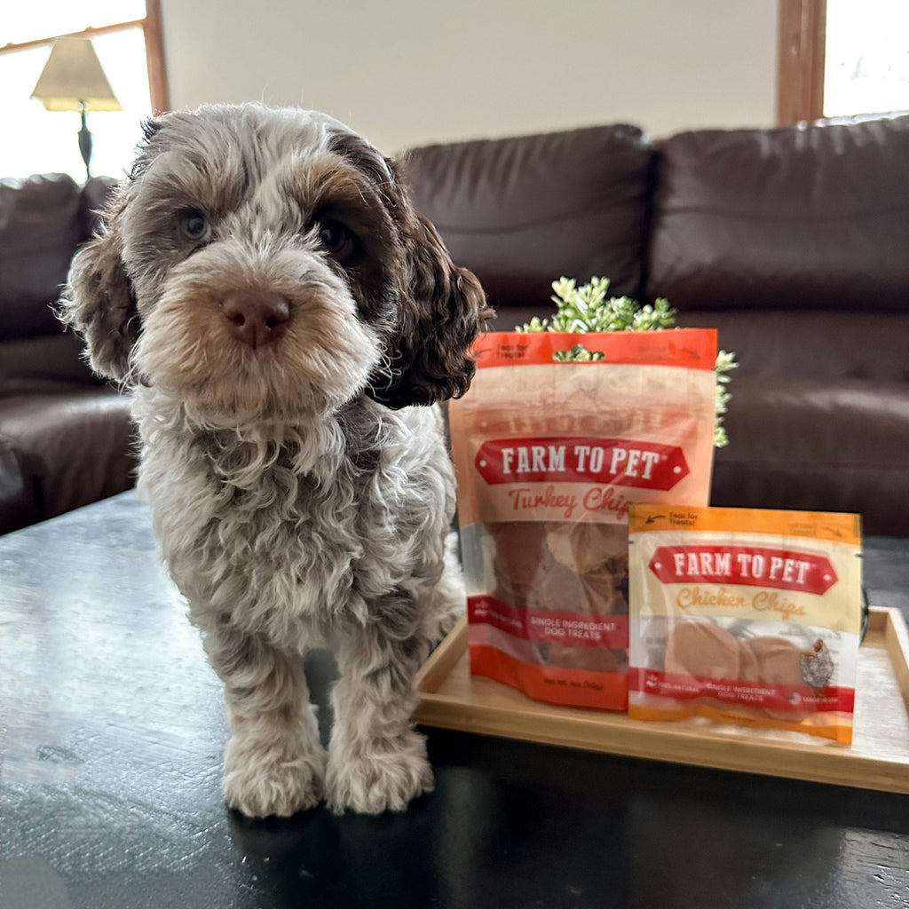 Pet E-Gift Card – Digital, $25, $50, or $100