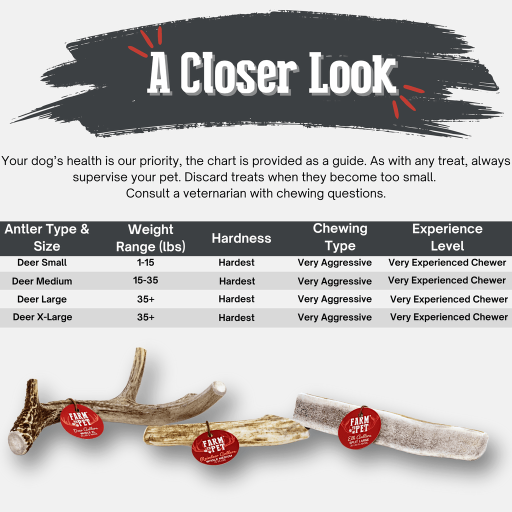 Whole Deer Antler Chew for Large Dogs (35 lbs and Up)