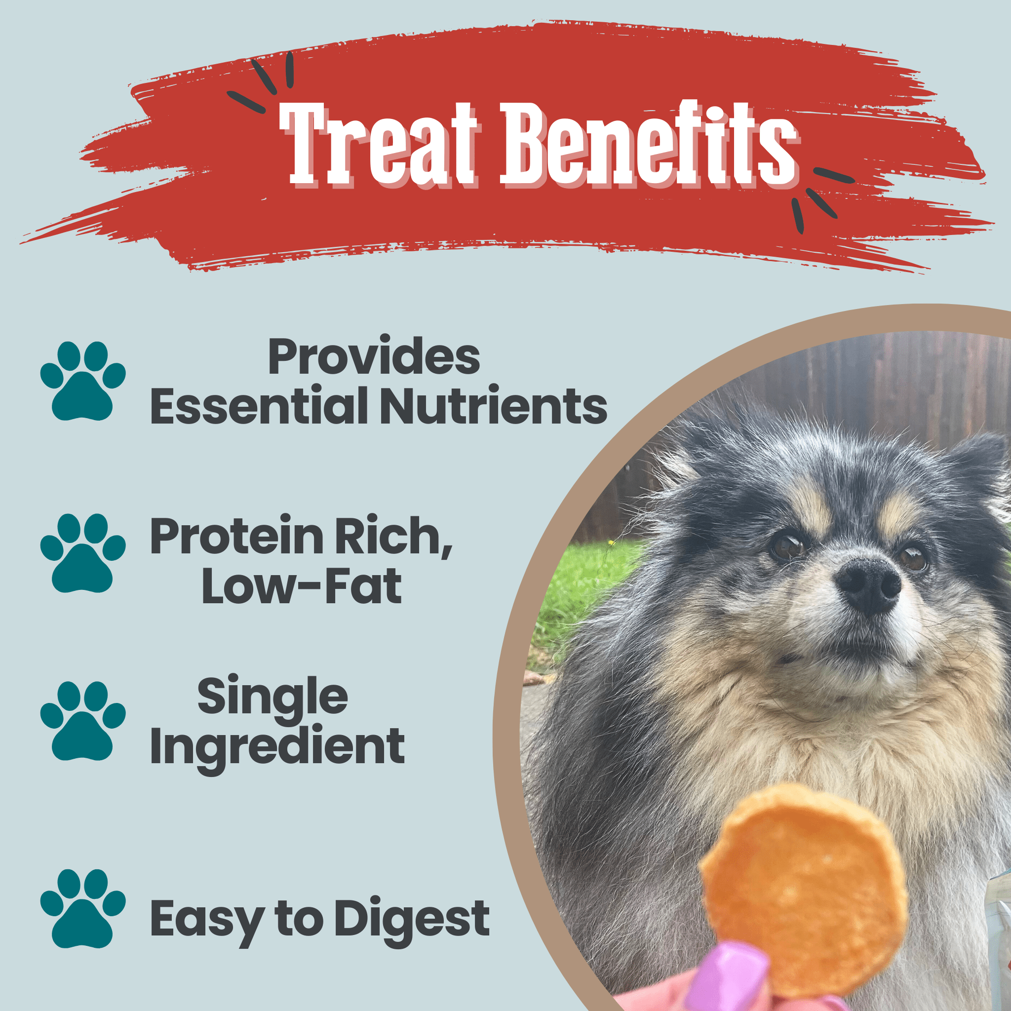 Walleye Fish Chip Snack Pack for Dogs & Cats, 6 Pieces